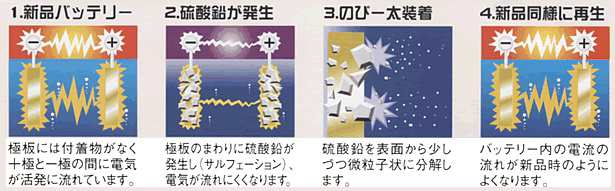 燃費向上 エルマ 12v サイクルバッテリー用 Evのび 太12 バッテリー 寿命 延命 シールドタイプバッテリー Ev 12 の通販はau Pay マーケット プレクスアウトレット Au Pay マーケット店