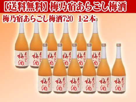 送料無料一部地域を除く 梅乃宿あらごし梅酒720ml １２本