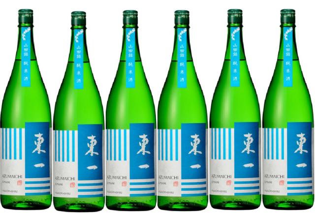 ふるさと納税 焼酎 米 神奈川県 川崎市 特製 玄米焼酎35% 本格米焼酎 1800ml 紙パック 6本 小正醸造 発売元 株式会社片山 ふるさと納税特製 玄米焼酎仕込み 梅酒 720ml × 2本
