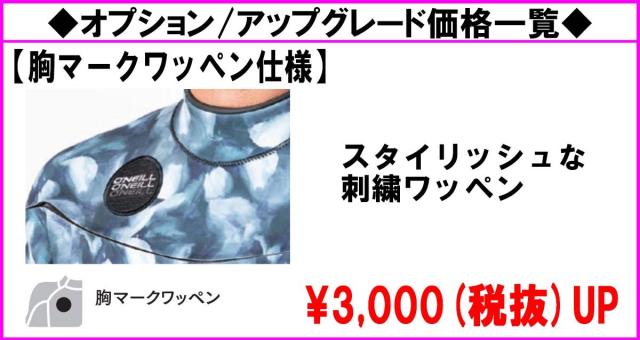 オニール　ノンジップ　ウエット　オーダー品 O'NEILL 24 O'NEILL オニール 長袖タッパー フード付 ウェット