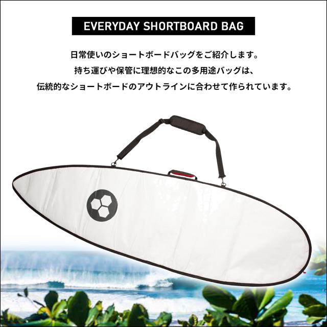Channel Islands チャンネルアイランド ハードケース Everyday