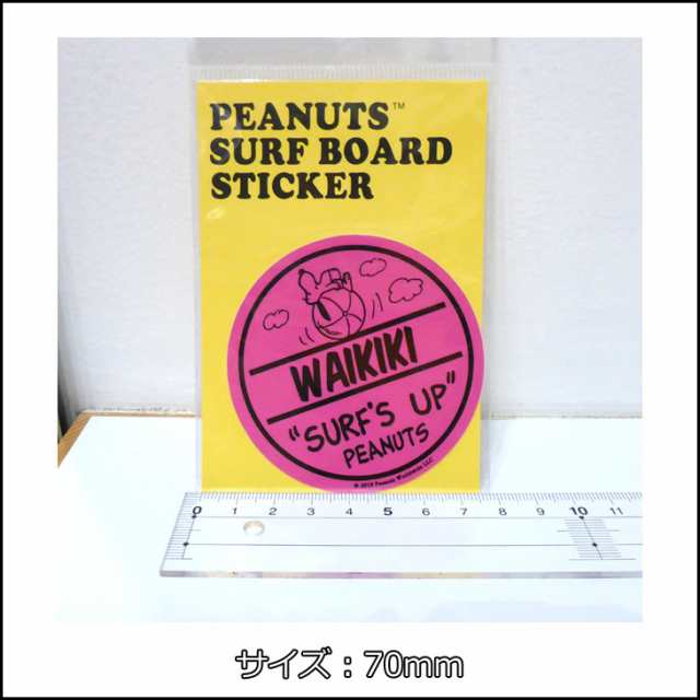 snp21020-01.jpg