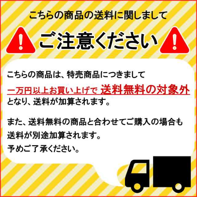 2024年4月下旬〜5月下旬出荷 予約商品 24 FCS ボードケース ハード