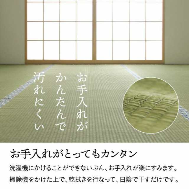 国産 い草 イ草 上敷き カーペット 白浜/ 江戸間 五八間 1畳 1帖 88