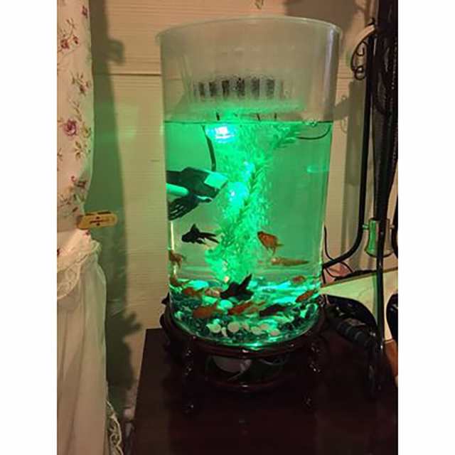 円筒形の水槽リビングルームガラス垂直水族館中小デスクトップフィルター金魚水槽 Fish Tank Height 66cmの通販はau Pay マーケット ダンデライオンマーケット Au Pay マーケット店