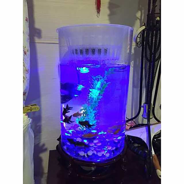 円筒形の水槽リビングルームガラス垂直水族館中小デスクトップフィルター金魚水槽 Fish Tank Height 66cmの通販はau Pay マーケット ダンデライオンマーケット Au Pay マーケット店