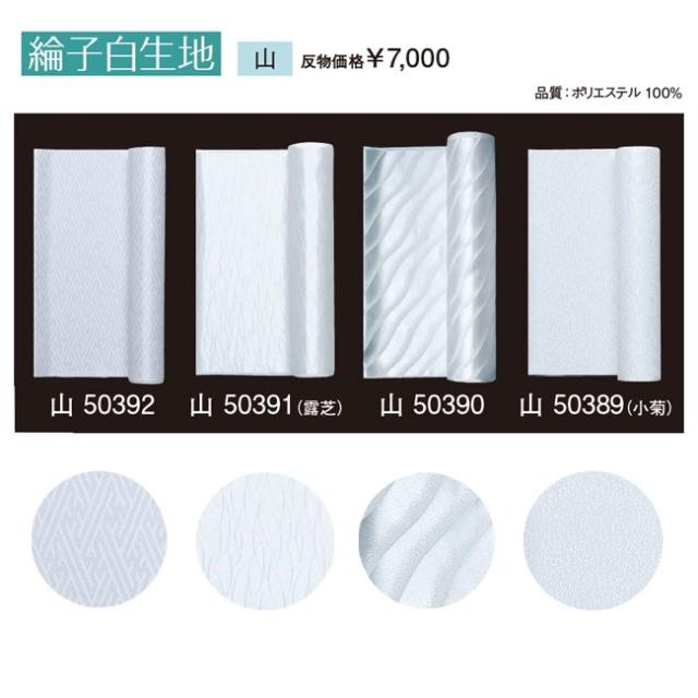 綸子白生地 反物 小菊 つゆ芝62448-62449の通販は 6,468円