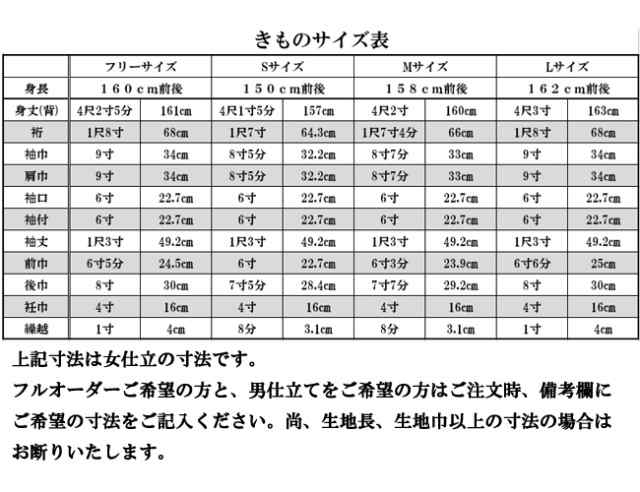 着物 きもの 訪問着 踊り 舞踊 レディース 仕立上がり 柄もの