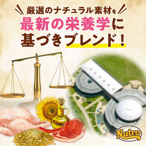 4個セット ニュートロ ナチュラルチョイス 毛玉トータルケア アダルト チキン 2kg×4個セット_3