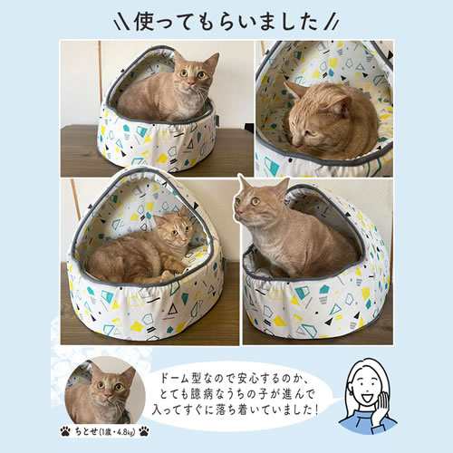 【パターン名:4)ドーム型】アイリスオーヤマ ペット用クールドームベッド 犬 猫