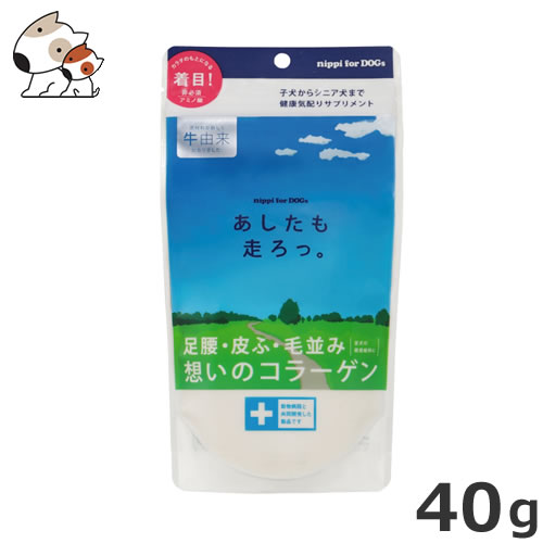 メール便 ニッピ あしたも走ろっ 犬用健康補助食 40g サプリメント ふりかけ 粉末 犬用 健康維持 足腰 骨 関節 皮膚 被毛 コラーゲの通販はau Pay マーケット ペッツマム Au Pay マーケット店