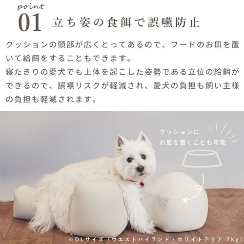 崩壊スターレイル　ラウンドワン限定　丸型クッション　全種　500円投入品2つ付き 崩壊スターレイル ラウンドワン限定 丸型クッション 全種セット