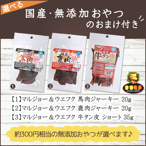 【選べる無添加おやつプレゼント】ベッツ・チョイス セレクトバランス グレインフリー アダルトサーモン 小粒 1才以上の成犬用 6kg 【選べる無添加おやつプレゼント】ベッツ・チョイス セレクトバランス グレインフリー アダルトサーモン 小粒 1才以上の成犬用 6kg