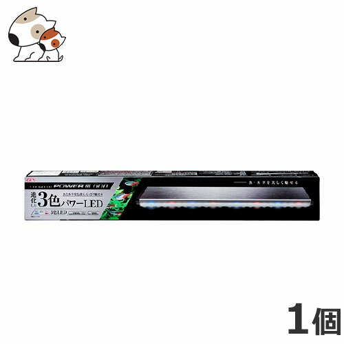 GEX クリアLEDPOWER600の通販は