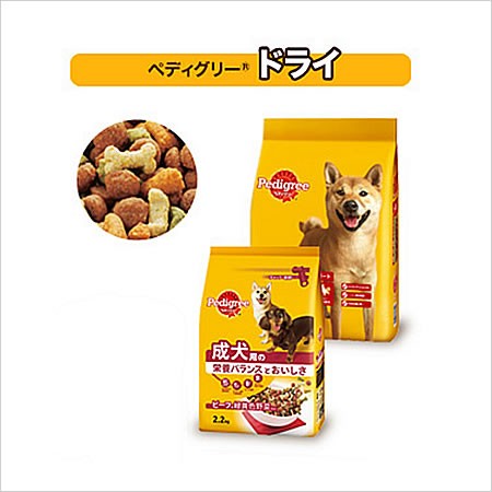 ペディグリー 成犬用元気な毎日サポート 旨みビーフ＆緑黄色野菜入り