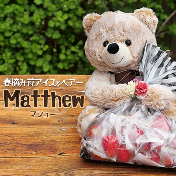 ぬいぐるみ 熊 ＆ スイーツ お菓子 春摘み苺 アイス ＆ ベアー「Matthew」の通販は
