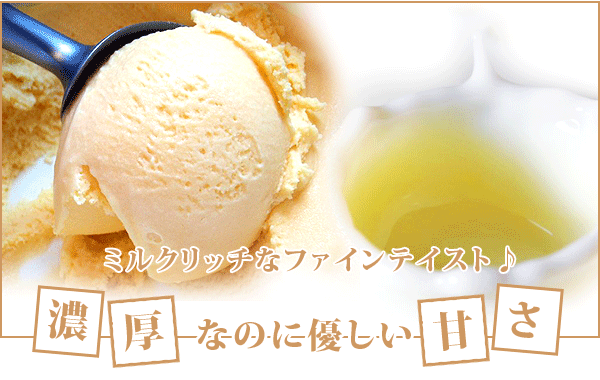 アイス 業務用アイス 弘乳舎 プレミアムバニラ 2L アイス