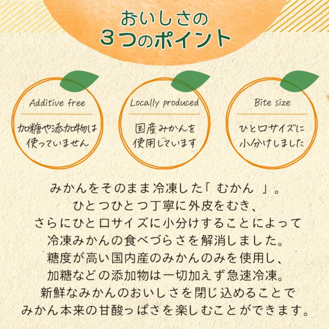 冷凍みかん ひとくちサイズ 冷凍ミカン むかん 12袋入 業務用 箱売り 大人買い フルーツ 冷凍みかん ひとくちサイズ 冷凍ミカン むかん 12袋入 業務用 箱売り 大人