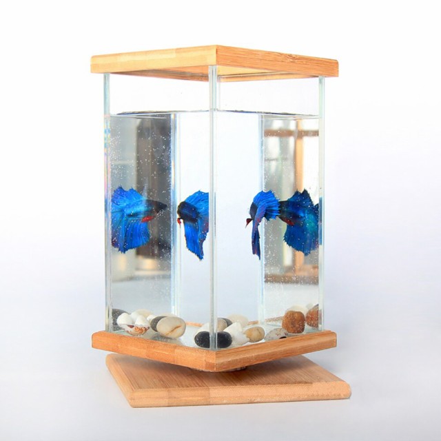 水槽 熱帯魚 金魚 デスクトップ クリエイティブ オフィス 強化ガラス マイクロ 竹と木材 Btype