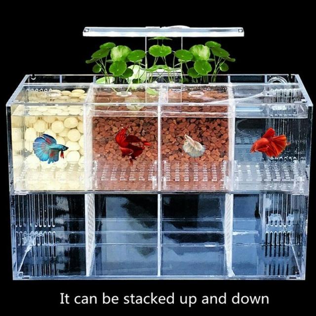 水槽 分離 四重 LEDライト アクリルボード ポンプ Betta ベタ 熱帯魚 魚 飼育用 ペット