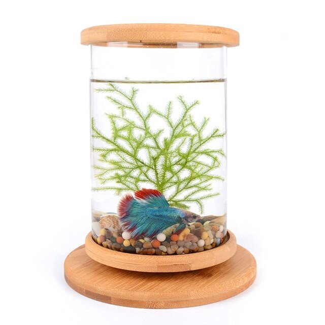 デスクトップクリエイティブオフィス強化ガラスマイクロシリンダークリエイティブ竹と木材生態学的な A style Fish tank