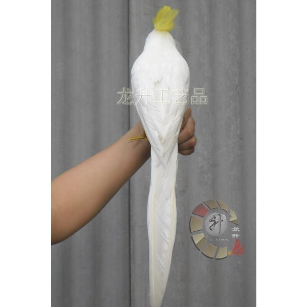 新品 リアルな鳥の人形 キバタン オウム ドール ぬいぐるみ 43cm 新品 リアルな鳥の人形 キバタン オウム ドール ぬいぐるみ 43cm