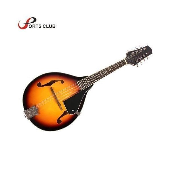 Noar マンドリン サンバースト 8弦 Noar マンドリン サンバースト 8弦 Noar マンドリン サンバースト 8弦