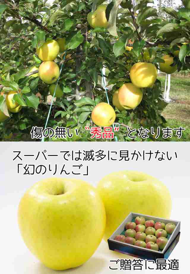 りんご 5Kg 送料無料 青森県産 ぐんま名月 秀品 5kg 幻の りんご 青森 ぐんま 名月 りんご 5Kg 正品 ギフト お歳暮 ギフト 11月下旬頃からの通販は