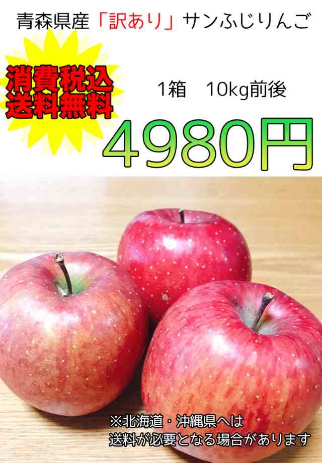 りんご 訳あり 10kg箱 サンふじ 送料無料 青森県産 サンふじ りんご