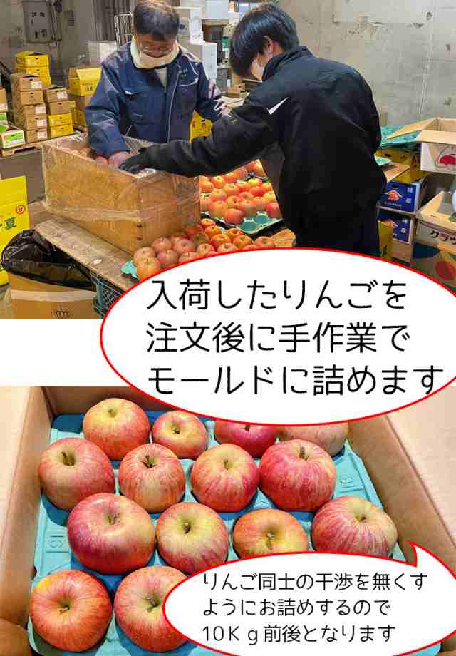 青森県産 サンフジりんご 約10キロ 最大54％オフ！ - 果物