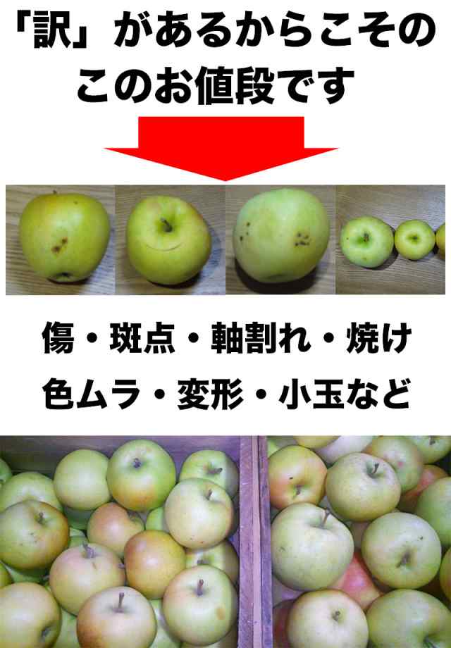 りんご 5Kg箱 訳あり 小玉 青森県産 トキ りんご 20玉または23玉 4kg以上 ご家庭用 糖度保証 サイズいろいろ 5kg箱 りんご 訳あり  わけあの通販はau PAY マーケット - 大和屋 旬果庵 au PAY マーケット店