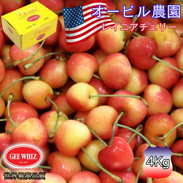 予約 オービル農園 アメリカンチェリー オービル農園 GEE WHIZ 大粒 レイニアチェリー 4kg 世界最高品質 レーニアチェリー チェリー cherry 【7月1日〜7月31日出荷予定】00041D