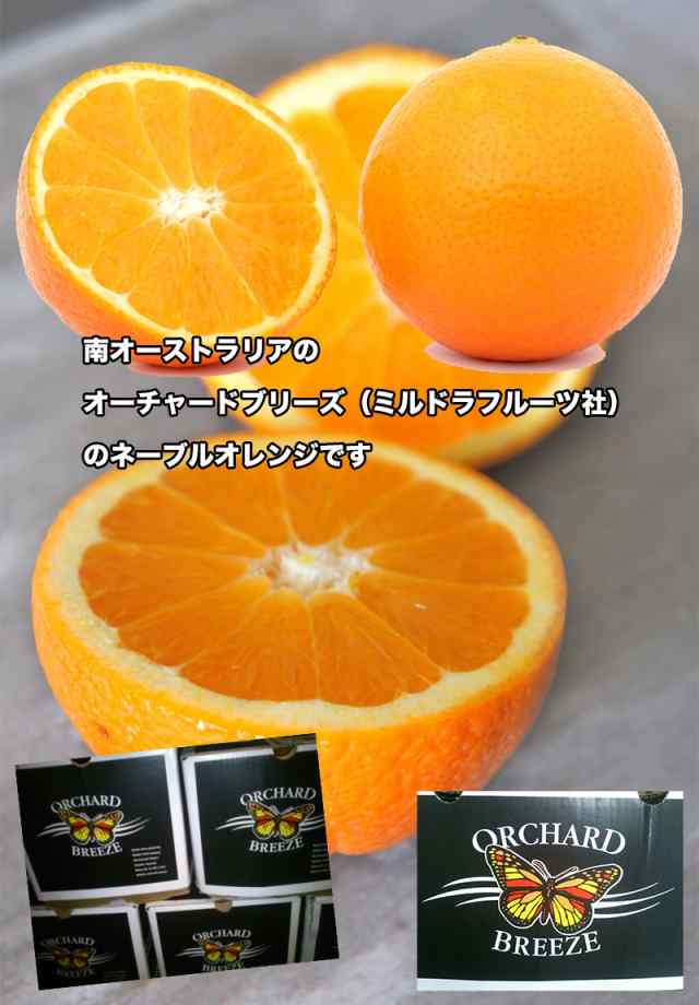 オレンジ ネーブル 送料無料 オーストラリア産 ネーブルオレンジ 18kg 糖度保証 玉の通販はau Pay マーケット 大和屋 旬果庵 Au Pay マーケット店