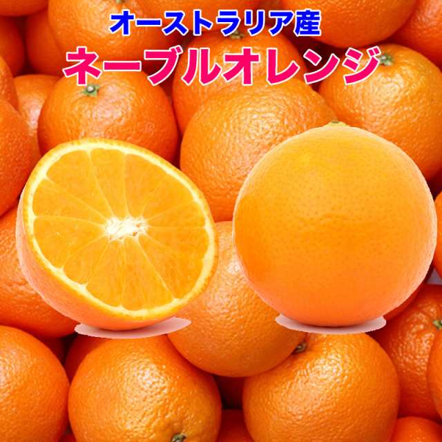 オーストラリア産 ネーブルオレンジ 18kg 糖度保証 玉の通販はau Pay マーケット 大和屋 旬果庵 Au Pay マーケット店