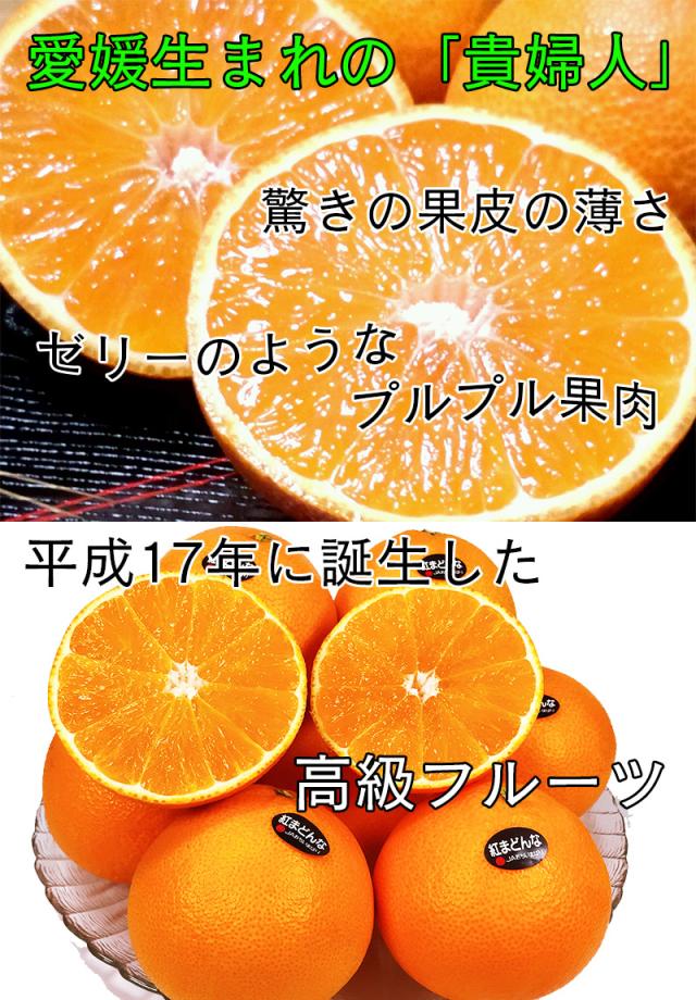 紅マドンナ 紅まどんな ご家庭用 小傷有り 送料無料 愛媛県 紅まどんな