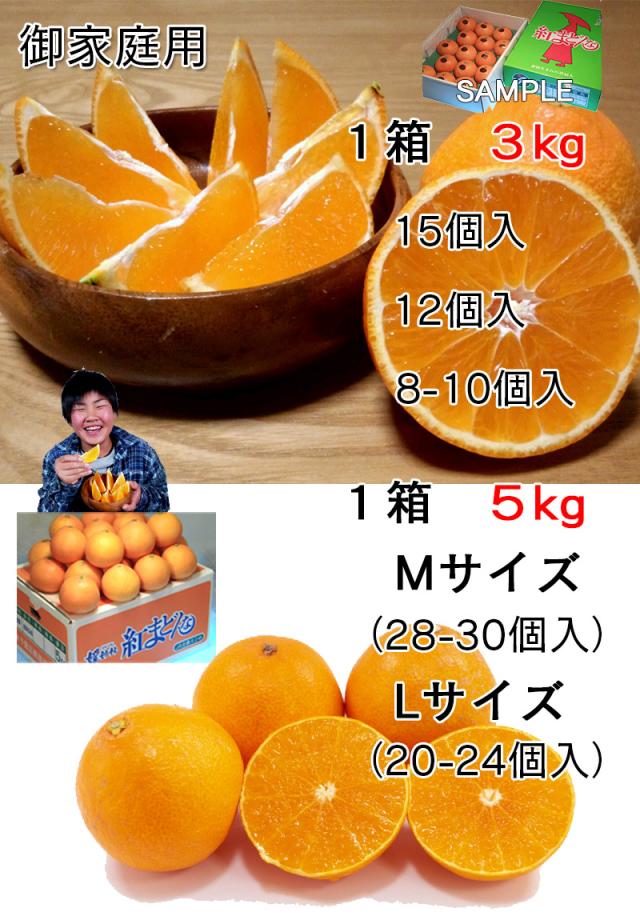 猫やん　まどんな 3L 11玉×2箱 猫やん様専用 まどんな 3L 11玉×2箱 【公式通販】