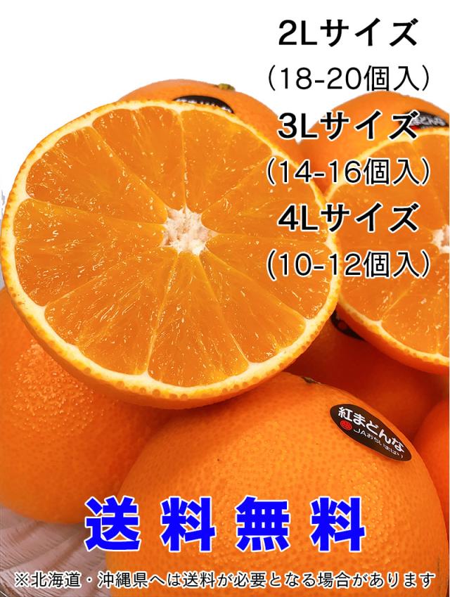 紅マドンナ 紅まどんな ご家庭用 小傷有り 送料無料 愛媛県 紅まどんな