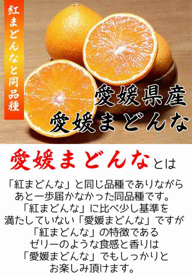 紅まどんな1 あいか 愛媛県産 5キロ 家庭用 みかん