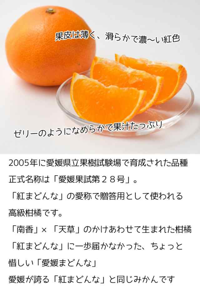 お試しセット2kg 愛媛県産愛果28号（紅まどんな）