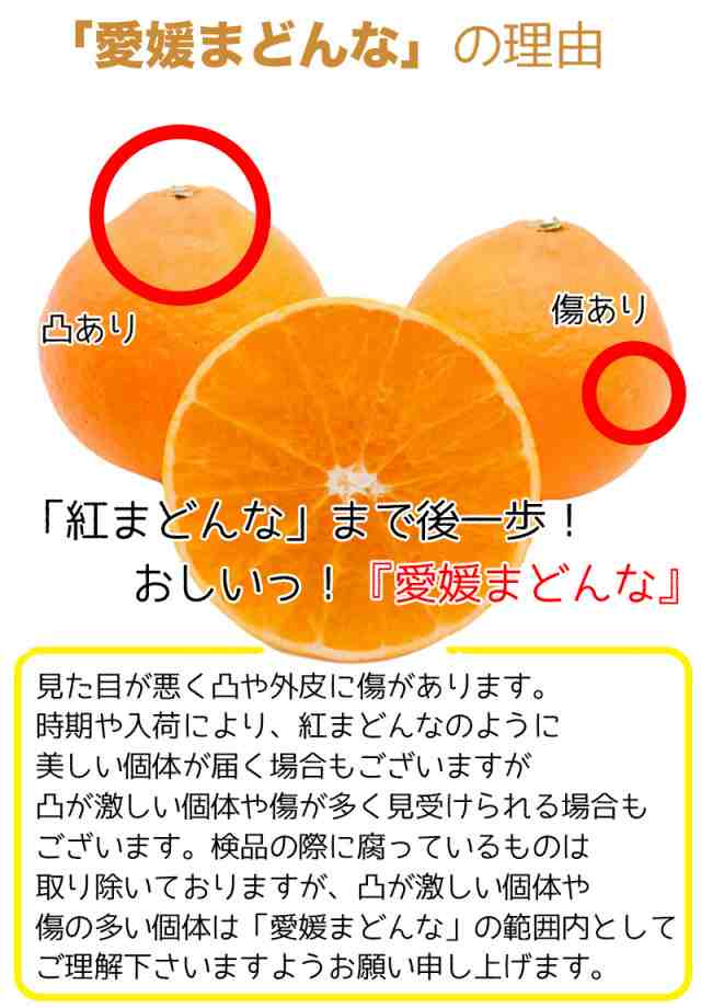 紅まどんな 紅マドンナ 愛媛マドンナ 送料無料 愛媛県 愛媛まどんな 2L