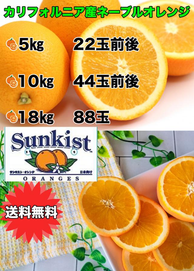 オレンジ ネーブル 送料無料 カリフォルニア産　ネーブルオレンジ 園地指定　糖度保証　約18kg 88玉前後 ※北海道、沖縄離島は除く