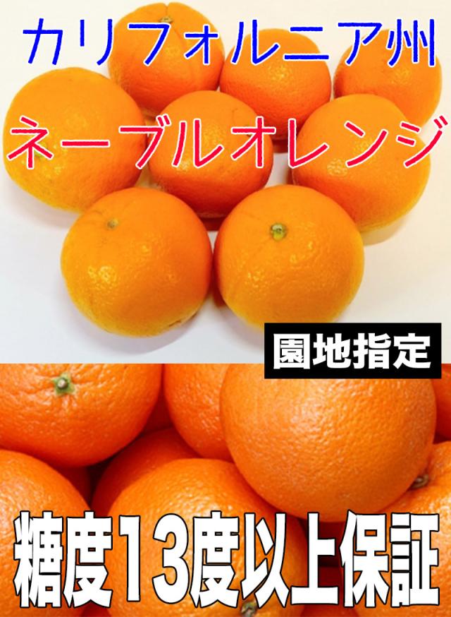 オレンジ ネーブル 送料無料 カリフォルニア産　ネーブルオレンジ 園地指定　糖度保証　約18kg 88玉前後 ※北海道、沖縄離島は除く