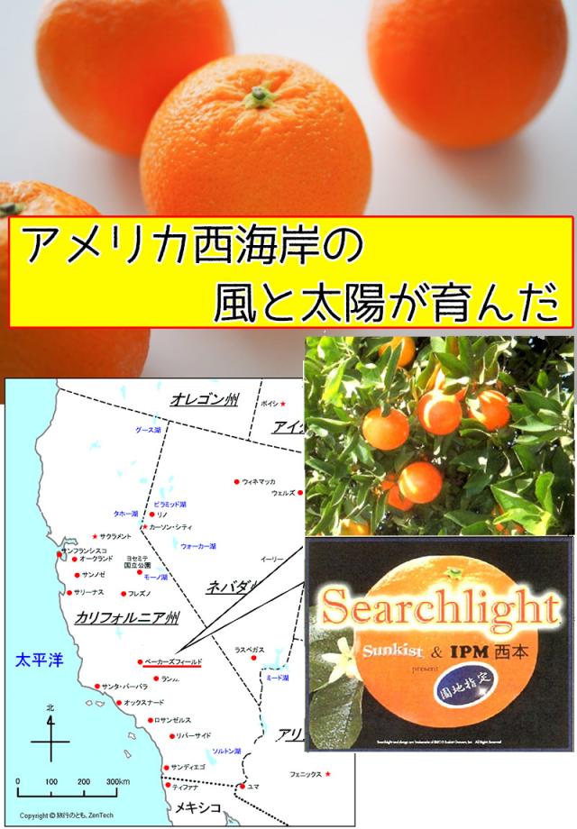 オレンジ ネーブル 送料無料 カリフォルニア産　ネーブルオレンジ 園地指定　糖度保証　約18kg 88玉前後 ※北海道、沖縄離島は除く