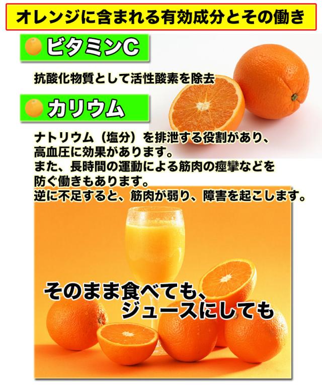 オレンジ ネーブル 送料無料 カリフォルニア産　ネーブルオレンジ 園地指定　糖度保証　約18kg 88玉前後 ※北海道、沖縄離島は除く