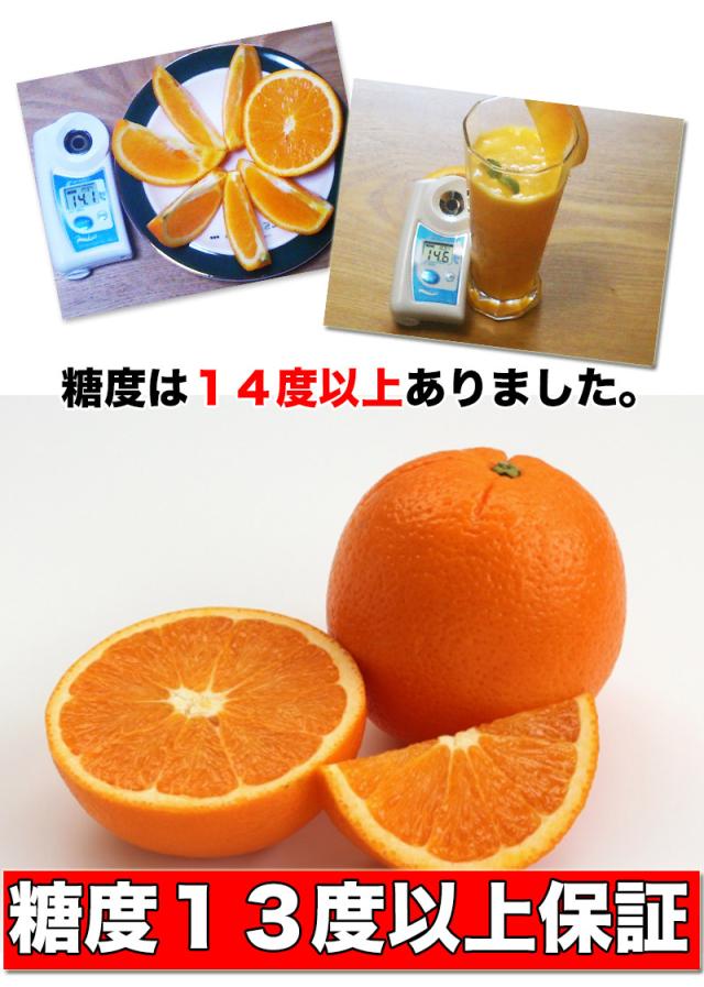 オレンジ ネーブル 送料無料 カリフォルニア産　ネーブルオレンジ 園地指定　糖度保証　約18kg 88玉前後 ※北海道、沖縄離島は除く