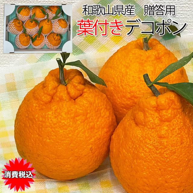 デコポン みかん 不知火 送料無料 和歌山県産 葉っぱ付きハウスデコポン 10玉入 約3Kg ギフト 光糖度センサー検査済 糖度保証 しらぬい デコポンの通販は 6,480円
