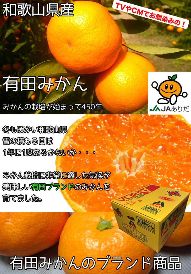 みかん 5kg 小玉 有田 和歌山県産 有田 みかん 赤秀 Sサイズ 5kg 送料無料 贈答用 ギフト みかん 5kg 和歌山 有田みかん お歳暮 ギフトの通販はau Pay マーケット 大和屋 旬果庵 Au Pay マーケット店