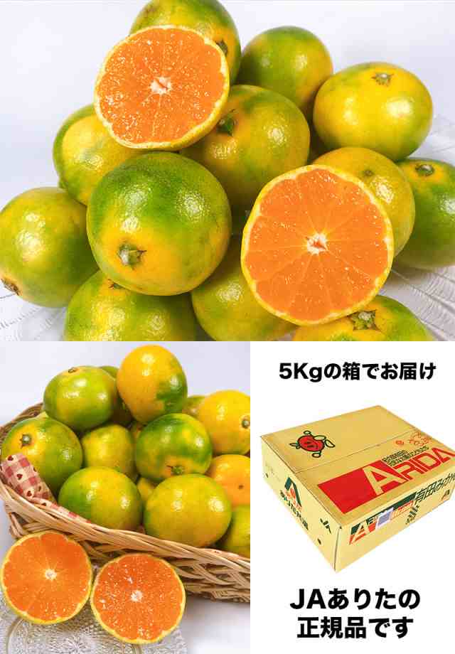 みかん 小玉 送料無料 10Kg 有田みかん 和歌山県 有田 ゆら早生みかん ...