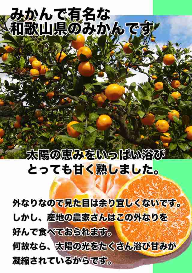 みかん 10kg 訳あり 小玉 送料無料 和歌山県産 甘熟 みかん Sサイズ 10kg 送料無料 訳あり 甘熟 みかん 10kgの通販はau Pay マーケット 大和屋 旬果庵 Au Pay マーケット店