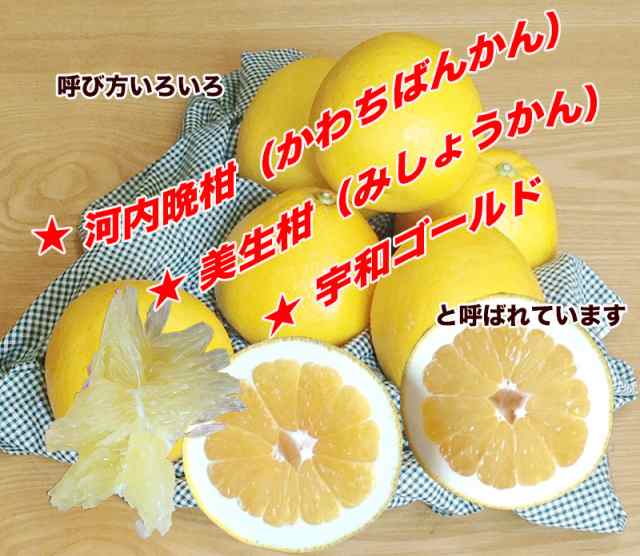 愛媛県産宇和ゴールド 特選クラス Lサイズ 約10kg 送料無料 北海道 沖縄離島は除くの通販はau Pay マーケット 大和屋 旬果庵 Au Pay マーケット店